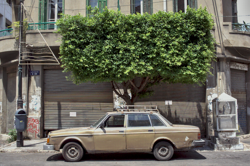 A picture of an old mercedes under a tree in Beirut. There is a bilingual street singn in French and Arabic on the one side, and a glass box with a statue of the Holy Mary on the other side