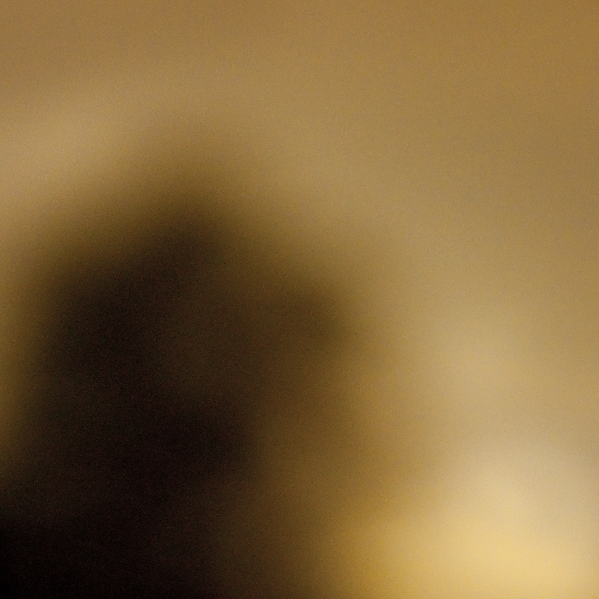 Also an abstract, blurry photo, with some organic looking brown shapes.